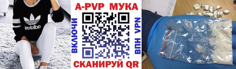 Альфа ПВП СК КРИС Великие Луки