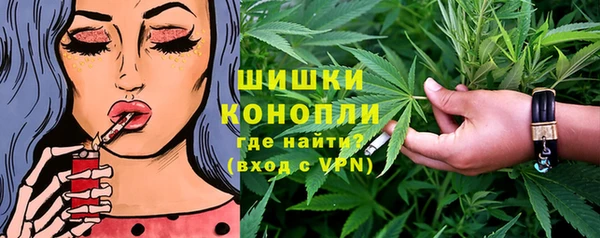 индика Белоозёрский
