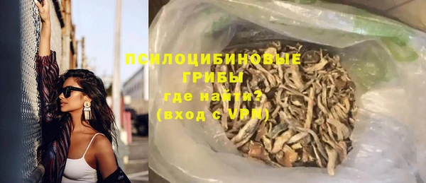 индика Белоозёрский