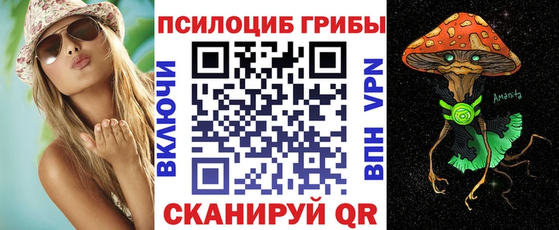 Псилоцибиновые грибы прущие грибы  Великие Луки 