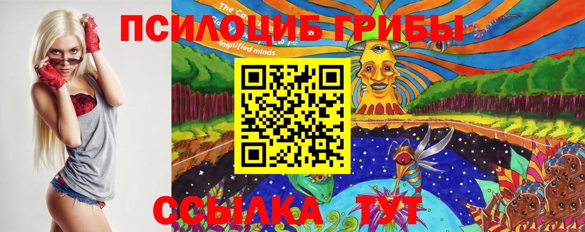 Псилоцибиновые грибы прущие грибы  Вход с VPN  Великие Луки 