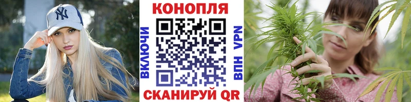 купить  цена  Великие Луки  Бошки Шишки OG Kush 
